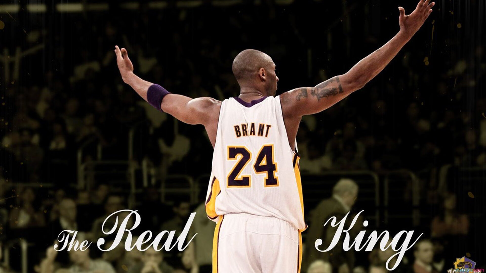 灰熊新秀大放异彩,成为球队场上亮点,灰熊 新秀