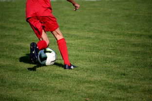 爱游戏下载-中国篮球教练员战术执行能力评估体系，中国篮球教练员培训等级